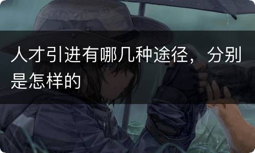 人才引进有哪几种途径，分别是怎样的