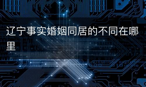 辽宁事实婚姻同居的不同在哪里