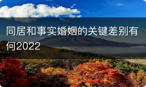同居和事实婚姻的关键差别有何2022
