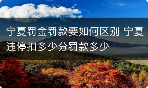 宁夏罚金罚款要如何区别 宁夏违停扣多少分罚款多少