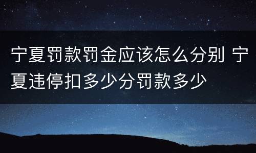 宁夏罚款罚金应该怎么分别 宁夏违停扣多少分罚款多少