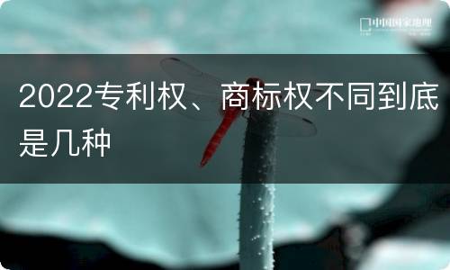 2022专利权、商标权不同到底是几种