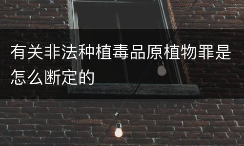 有关非法种植毒品原植物罪是怎么断定的
