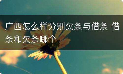 广西怎么样分别欠条与借条 借条和欠条哪个