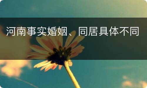 河南事实婚姻、同居具体不同