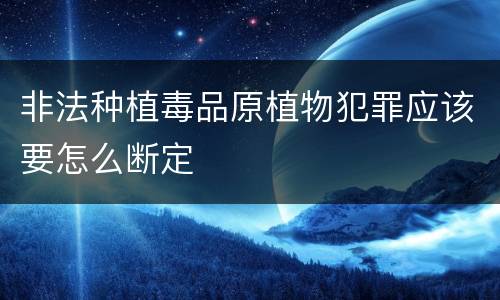 非法种植毒品原植物犯罪应该要怎么断定