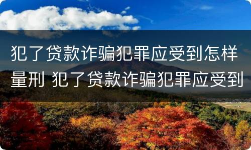 犯了贷款诈骗犯罪应受到怎样量刑 犯了贷款诈骗犯罪应受到怎样量刑呢