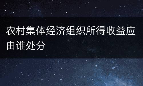 农村集体经济组织所得收益应由谁处分