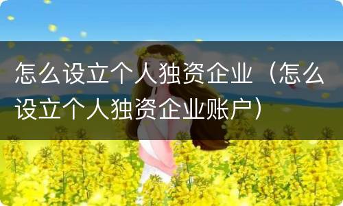 怎么设立个人独资企业（怎么设立个人独资企业账户）