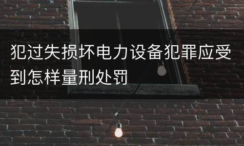 犯过失损坏电力设备犯罪应受到怎样量刑处罚