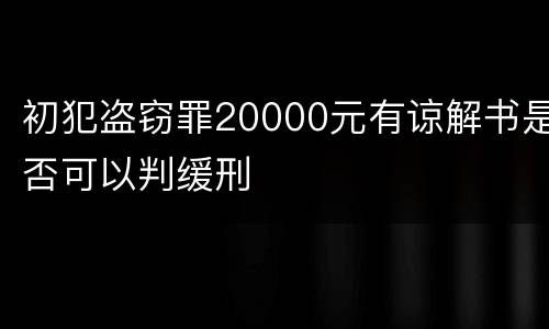 初犯盗窃罪20000元有谅解书是否可以判缓刑