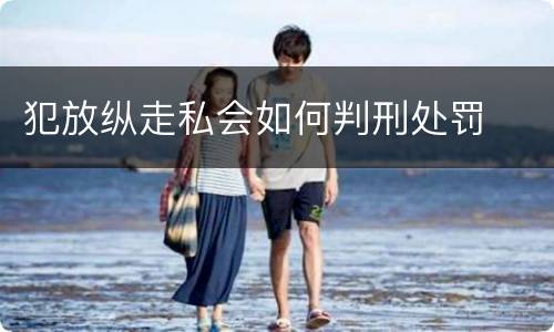 犯放纵走私会如何判刑处罚