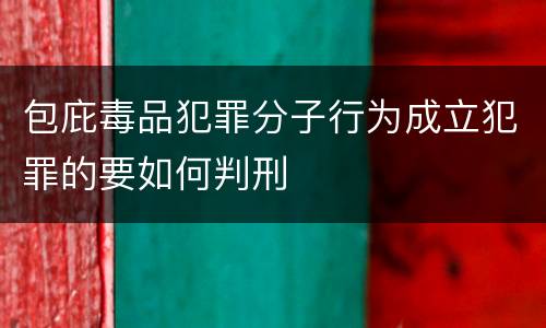 包庇毒品犯罪分子行为成立犯罪的要如何判刑