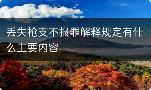 丢失枪支不报罪解释规定有什么主要内容
