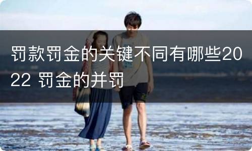 罚款罚金的关键不同有哪些2022 罚金的并罚