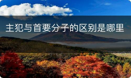 主犯与首要分子的区别是哪里