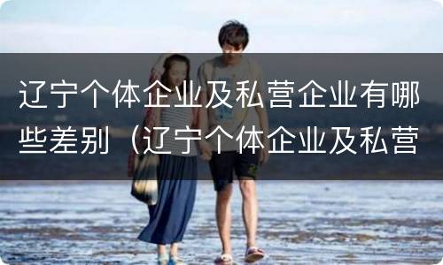 辽宁个体企业及私营企业有哪些差别（辽宁个体企业及私营企业有哪些差别呢）