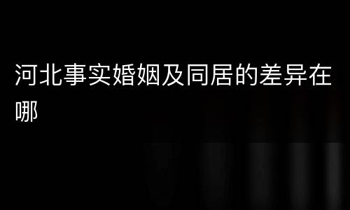 河北事实婚姻及同居的差异在哪
