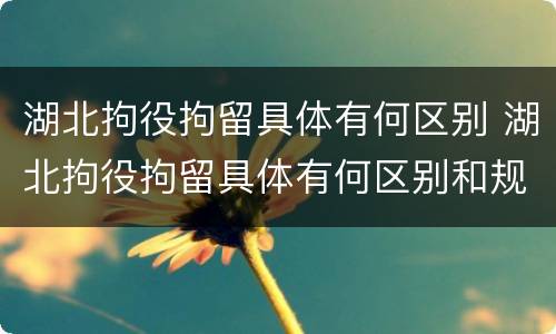 湖北拘役拘留具体有何区别 湖北拘役拘留具体有何区别和规定
