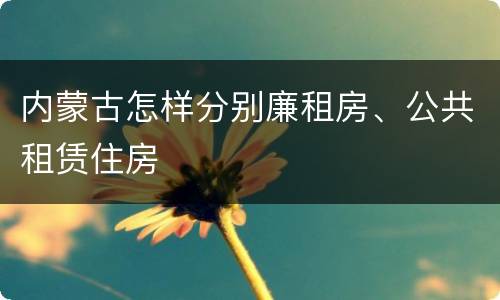 内蒙古怎样分别廉租房、公共租赁住房