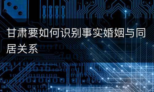 甘肃要如何识别事实婚姻与同居关系