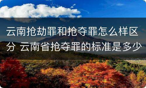 云南抢劫罪和抢夺罪怎么样区分 云南省抢夺罪的标准是多少?