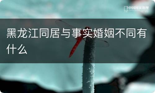 黑龙江同居与事实婚姻不同有什么