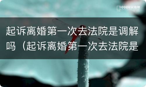 起诉离婚第一次去法院是调解吗（起诉离婚第一次去法院是调解吗要多久）