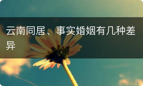 云南同居、事实婚姻有几种差异