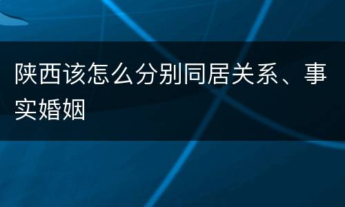 陕西该怎么分别同居关系、事实婚姻