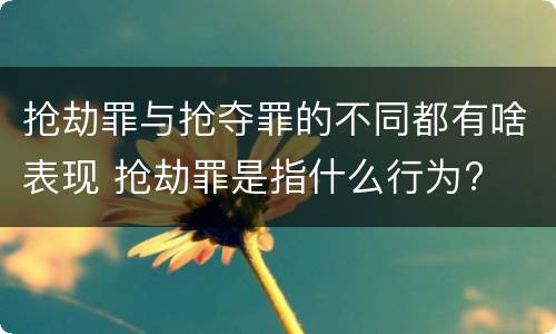 抢劫罪与抢夺罪的不同都有啥表现 抢劫罪是指什么行为?