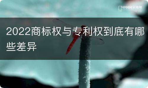 2022商标权与专利权到底有哪些差异