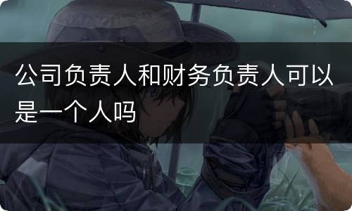 公司负责人和财务负责人可以是一个人吗