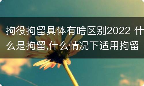 拘役拘留具体有啥区别2022 什么是拘留,什么情况下适用拘留