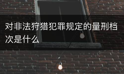 对非法狩猎犯罪规定的量刑档次是什么