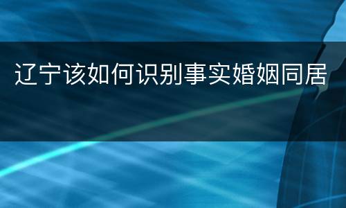辽宁该如何识别事实婚姻同居