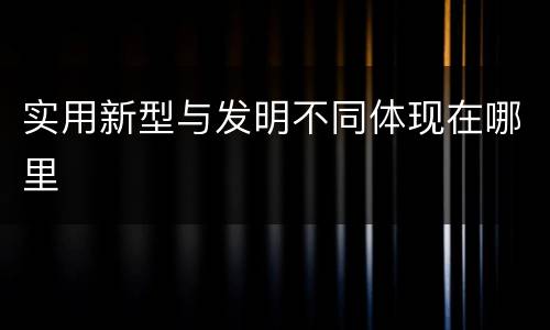 实用新型与发明不同体现在哪里