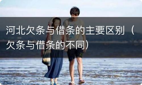 河北欠条与借条的主要区别（欠条与借条的不同）
