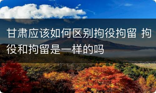 甘肃应该如何区别拘役拘留 拘役和拘留是一样的吗