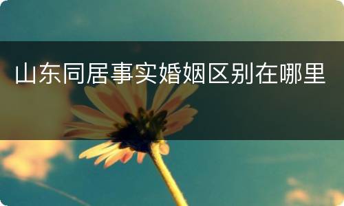 山东同居事实婚姻区别在哪里