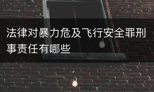 法律对暴力危及飞行安全罪刑事责任有哪些