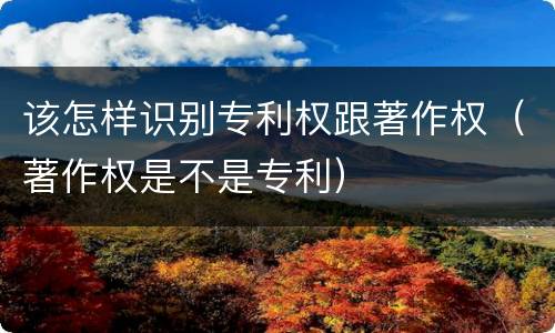 该怎样识别专利权跟著作权（著作权是不是专利）