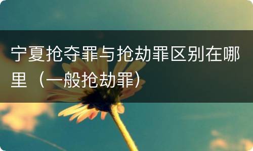 宁夏抢夺罪与抢劫罪区别在哪里（一般抢劫罪）