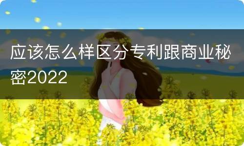 应该怎么样区分专利跟商业秘密2022