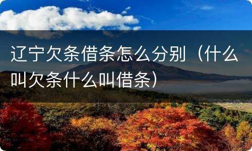 辽宁欠条借条怎么分别（什么叫欠条什么叫借条）