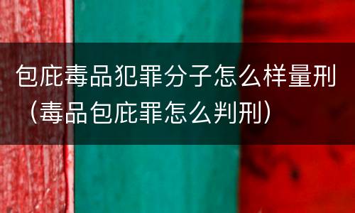 包庇毒品犯罪分子怎么样量刑（毒品包庇罪怎么判刑）