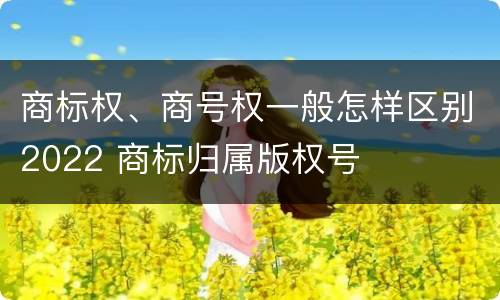 商标权、商号权一般怎样区别2022 商标归属版权号