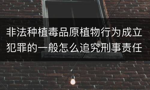 非法种植毒品原植物行为成立犯罪的一般怎么追究刑事责任