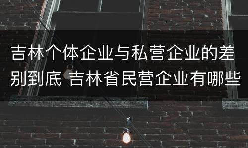 吉林个体企业与私营企业的差别到底 吉林省民营企业有哪些