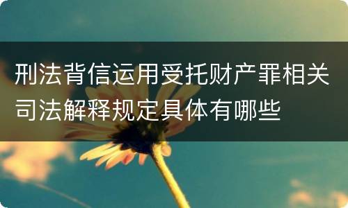 刑法背信运用受托财产罪相关司法解释规定具体有哪些